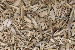biomass boilers Doynton